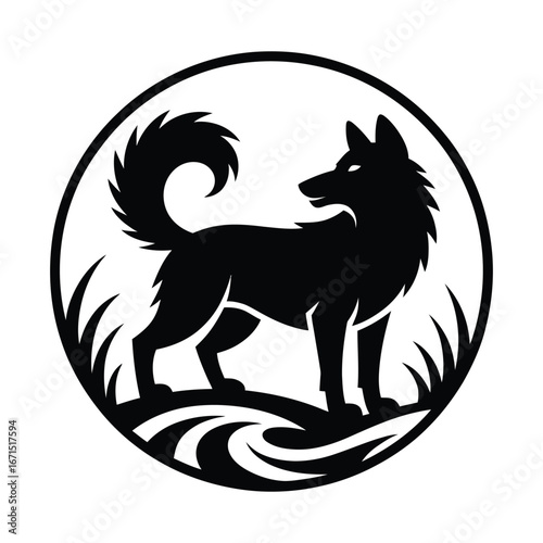 Black wolf standing in grass silhouette