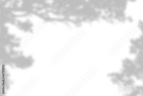 Shadow overlay effects of realistic  tree branches shadow with light blur on transparent background
