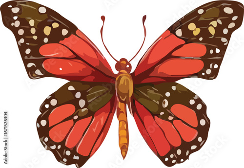 Butterfly vector illustration