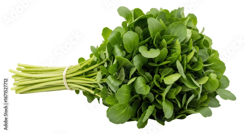 Fotografie Isolated Watercress Bunch
