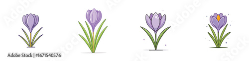 Crocus vector icon collection with clean lines and modern minimal style.