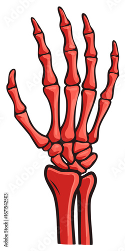 Red Skeleton Hand Bones Illustration, Anatomy, Medical, Creepy, Decoration, Spooky, and Halloween Concepts