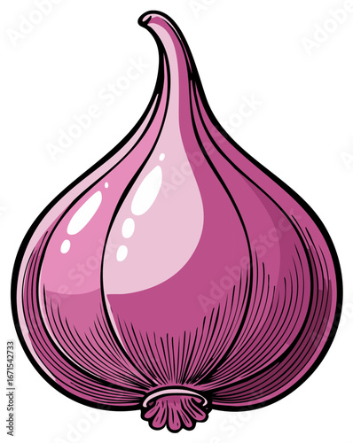 Illustrated red onion bulb, food vegetable graphic