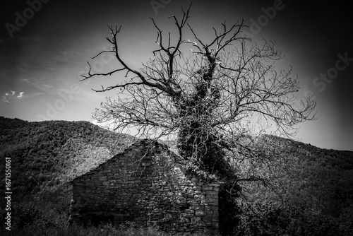Tra Piemonte e Liguria - Panorami di viaggio (Appennino Ligure)