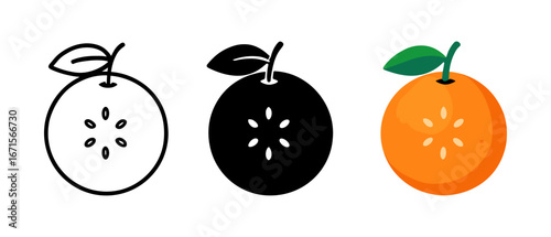 Orange fruit evolution: outline, silhouette, and colored design trends