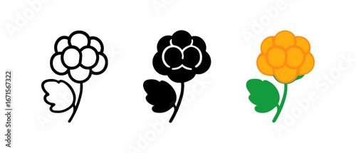 Playful floral designs in linear and colorful styles for creative projects