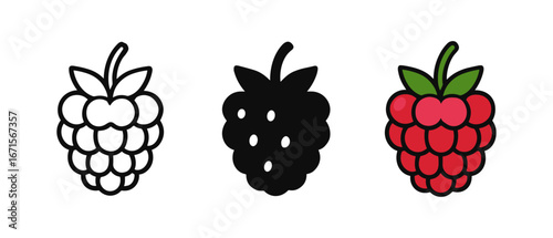 Artistic trio of raspberries: outline, silhouette, and colorful styles on white background