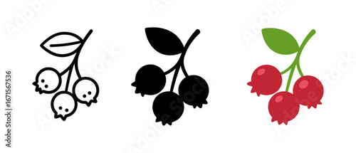 Set of berry branch designs: outline, silhouette, and colorful styles