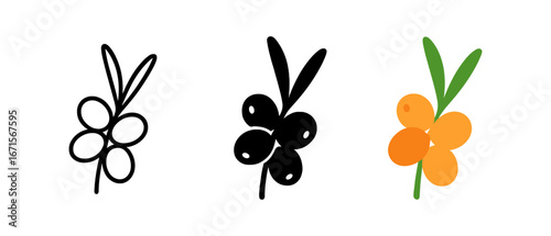 Minimalistic linear and solid sea buckthorn icons in modern style