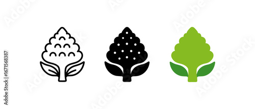 Stylized broccoli icons in outline, solid, and colored designs for healthy food concepts