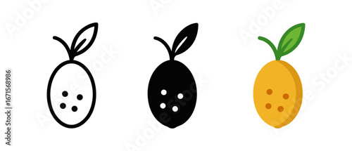 Minimalistic citrus fruit icons in different styles including outline, solid, and colorful flat design