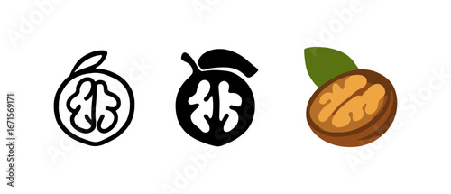 Variety of walnut icons: linear, silhouette, and colorful designs