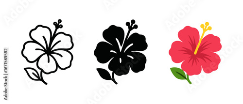 Elegant hibiscus flower variations in outline, solid, and vibrant color