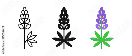 Minimalist and bold designs of lupine flower icons in set