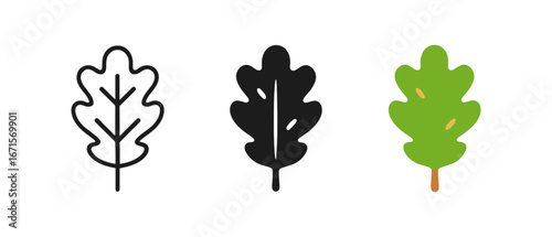 Three oak leaf designs: outline, silhouette, and colorful flat style