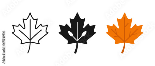 Trio of canadian maple leaf icons: outline, silhouette, and colored design