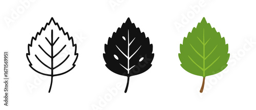 Minimalist leaf design: outlined, silhouette, and colored variations for eco themes
