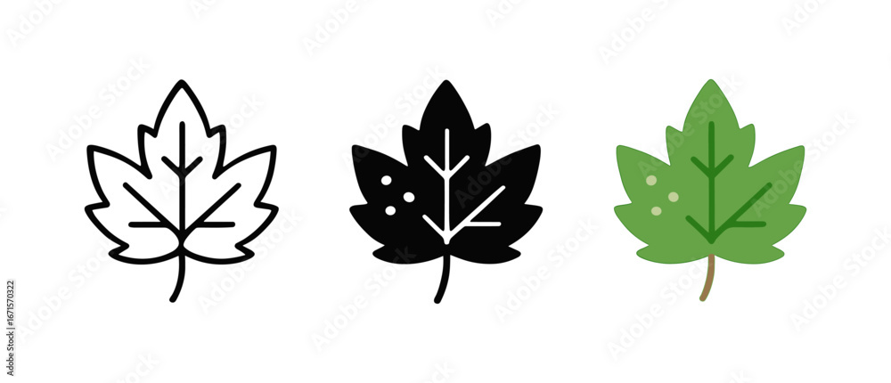 Obraz premium Maple leaf icons in outline, silhouette, and color variations for seasonal designs