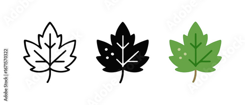 Maple leaf icons in outline, silhouette, and color variations for seasonal designs