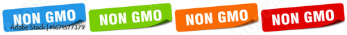 non gmo sticker. non gmo sticker set on white background