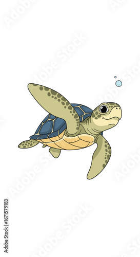 Adorable green sea turtle swimming gracefully underwater with bubbles floating upwards