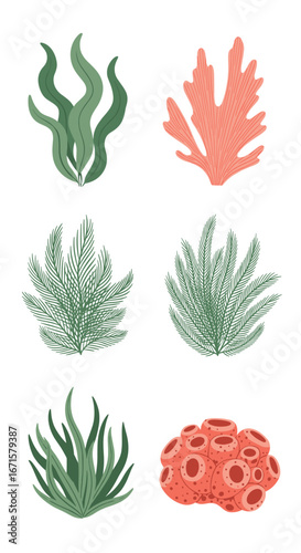 Marine flora and fauna collection capturing aquatic ecosystems lively beauty