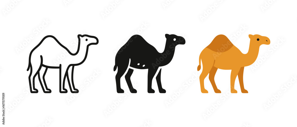 Obraz premium Set of three camel silhouettes in different styles: outline, solid, and colorful
