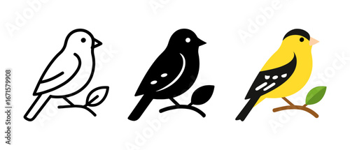 Three bird design styles: minimalist line, solid silhouette, vivid colored