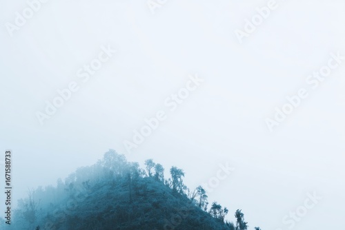 Misty hill. Trees top a shadowy hill in ethereal blues, with light fog covering the landscape in an empty, minimalistic scene