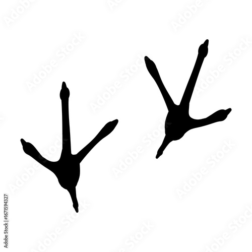 Bird footprint chicken foot silhouette, feet print, paw step hand drawn doodle. Sketch simple turkey, hen trail. Crow walk steps mark.