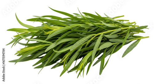 Foto Isolated Tarragon Bunch