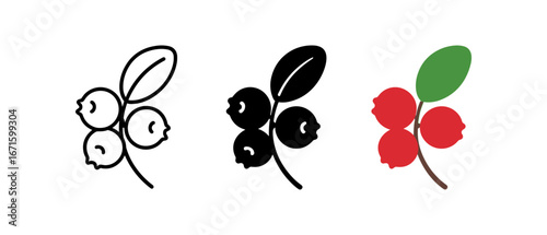Cranberry berry icons in outline, silhouette, and colored style