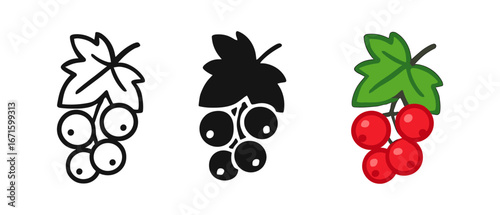 Currant berries in three styles: outline, silhouette, and colorful