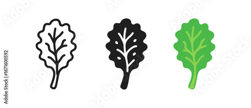 Leaf icons: outline, solid, and colorful spinach leaves on white background