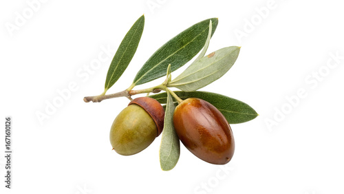 Foto jojoba fruit isolated on transparent background