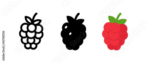 Minimalist fruit icons: black and white berry silhouettes with colorful raspberry