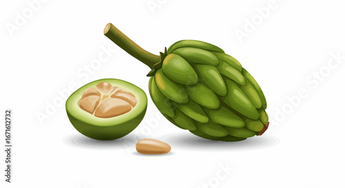 Fresh Artichoke Whole and Half Cut with Seed Realistic Vector Illustration