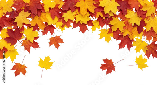 Isolated Falling Autumn Leaves