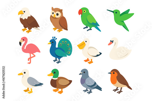 Colorful flat style birds collection featuring exotic and common species