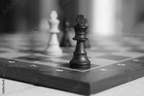 chess pieces on a chessboard