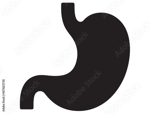 STOMACH SILHOUETTE