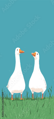 Two white ducks are positioned closely together on vibrant green grass, set against a clear blue sky. Their bright orange beaks and feet contrast nicely with their feathers.