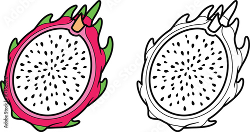 Vibrant Dragon Fruit Slice - Exotic Pitaya Half with Seeds - Color and Outline