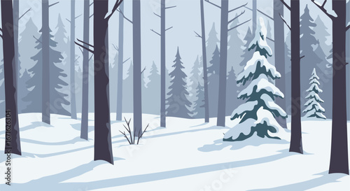 Trees Stand Covered in Snow in a Forest