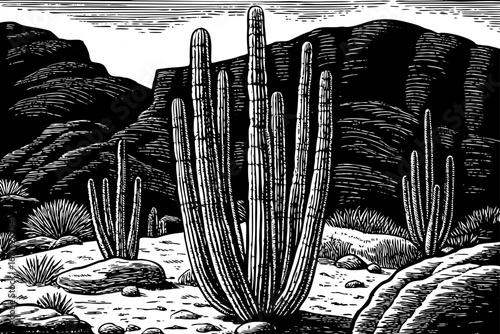 Organ pipe cactus standing tall near rocky desert slopes, rare southwestern scenery filled with dramatic forms, black and white sketch