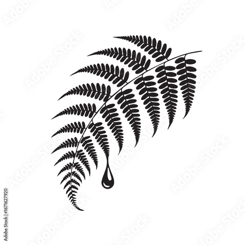 Black Fern Leaf with Dripping Water Drop