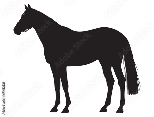 THOROUGHBRED HORSE SILHOUETTE