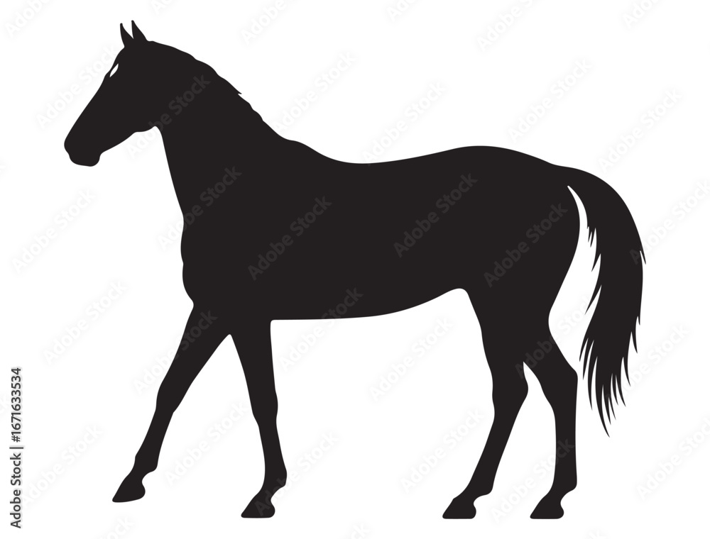 Obraz premium THOROUGHBRED HORSE SILHOUETTE