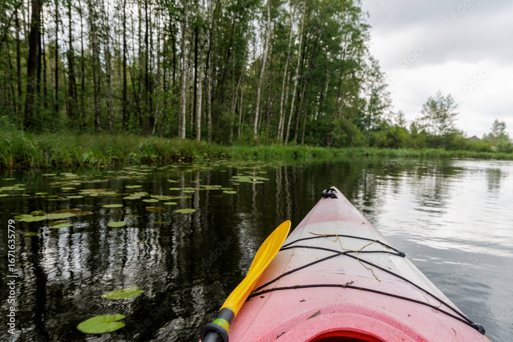 Fototapeta premium Kayak View with Lily Pads