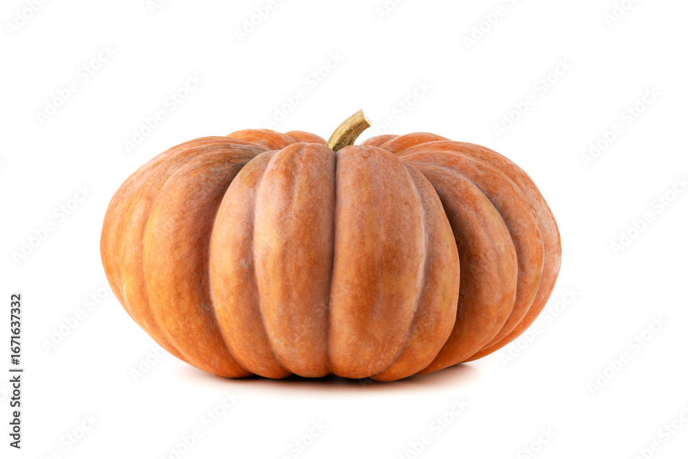 Obraz premium large ripe orange pumpkin isolated on a white background